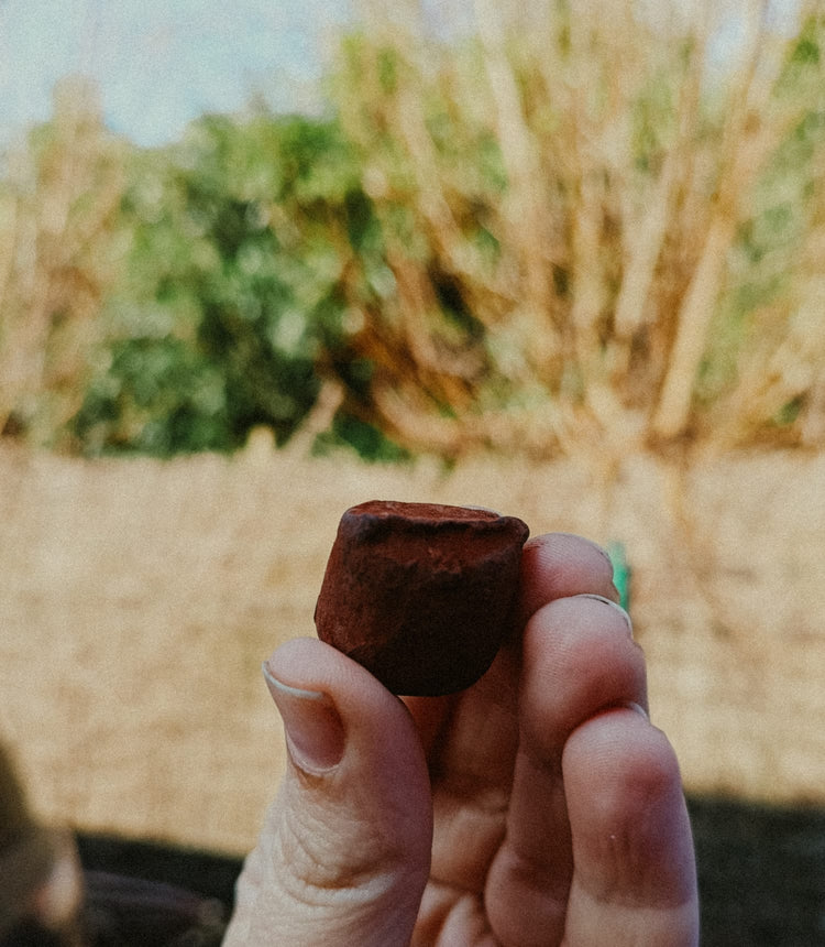 Chocolade truffels- Hazelnoot - Pakje Troost